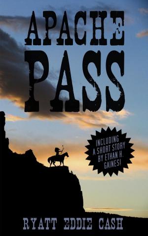 Cover of the book Apache Pass by Elizabeth St. Michel