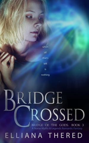 Cover of the book Bridge Crossed by Jennifer Estep