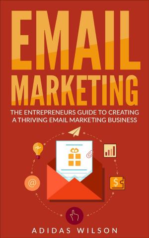 Book cover of Email Marketing - The Entrepreneurs Guide To Creating A Thriving Email Marketing Business
