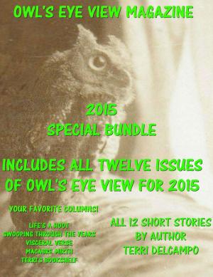 Cover of Owl's Eye View Magazine - Volume 6 - 2015 Year End Bundle