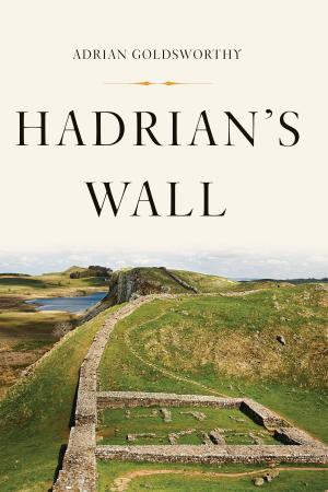 Cover of the book Hadrian's Wall by David Spiegel, Catherine Classen