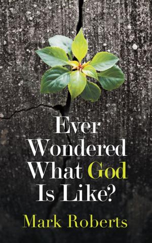 Cover of the book Ever Wondered What God Is Like? by Sanva Saephan