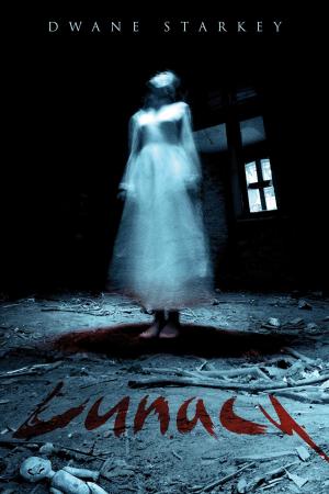 Cover of the book Lunacy by Ann M Pratley