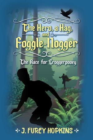 Cover of the book The Hero, A Hag, And Foggle-Nogger by Palladian