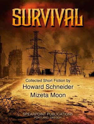 Cover of the book Survival by Jakes Aubrey