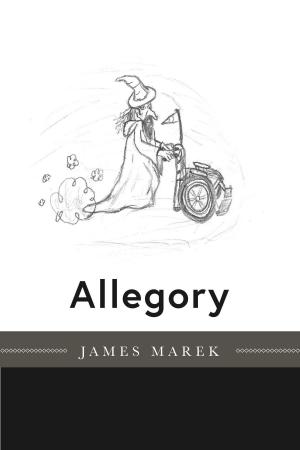 Cover of the book Allegory by D. J. Bershaw