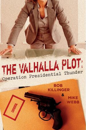 Cover of the book The Valhalla Plot by Michael McGaulley