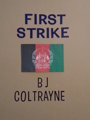 Cover of the book First Strike by Laurie Ann Hardie