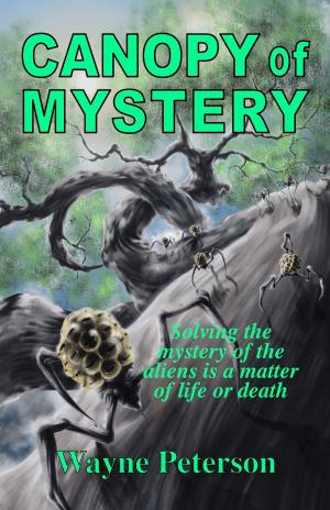 Cover of the book Canopy of Mystery by Kate Moodley