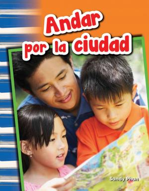 Cover of the book Andar por la ciudad by Lisa Zamosky