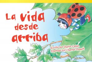 Cover of the book La vida desde arriba by Carolyn Meyer