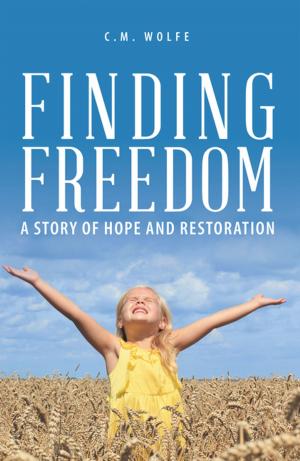 Cover of the book Finding Freedom by Irene Levy