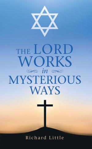 Book cover of The Lord Works in Mysterious Ways
