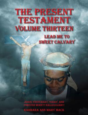 Cover of the book The Present Testament Volume Thirteen by Jaclyn O. Chukwuocha