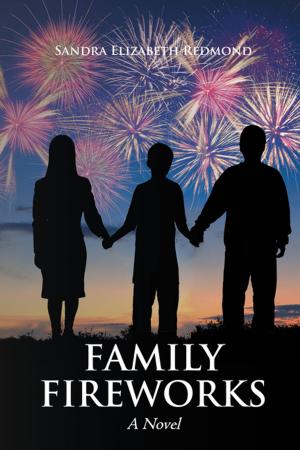 Cover of the book Family Fireworks by Ashley Bell