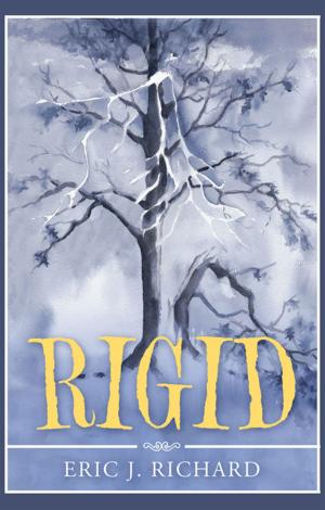 Cover of the book Rigid by Stacey Key