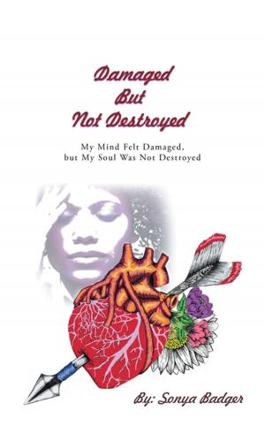 Cover of the book Damaged but Not Destroyed by Terrie A. Hoops