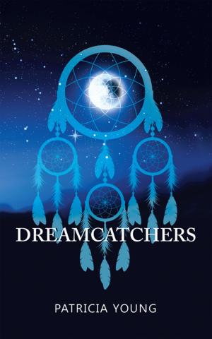 Book cover of Dreamcatchers