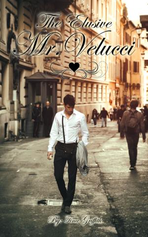 Cover of the book The Elusive Mr. Velucci by Denise Motley Johnston