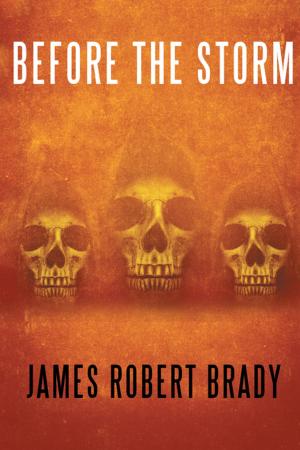 Cover of the book Before the Storm by Michael Lindley