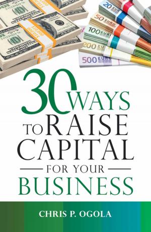 bigCover of the book 30 Ways to Raise Capital for Your Business by 