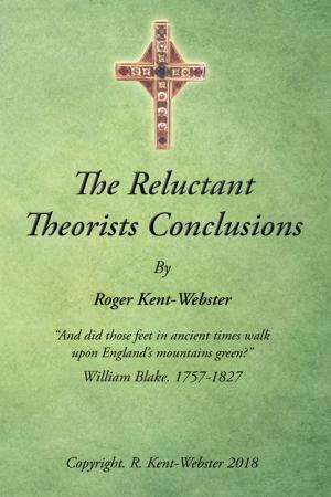 Book cover of The Reluctant Theorists Conclusions