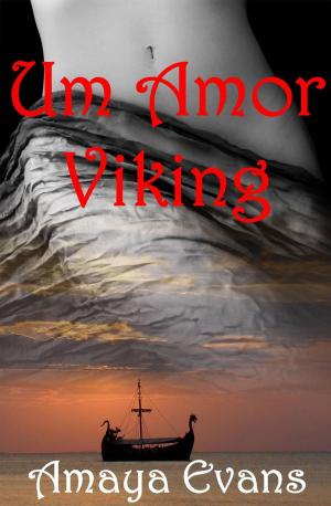 Book cover of Um Amor Viking