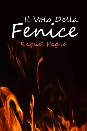 Cover of the book Il volo della fenice by Claudio Ruggeri