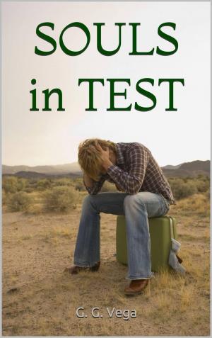 Cover of the book Souls in Tests by G. G. Vega
