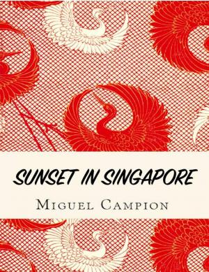 Cover of the book Sunset in Singapore by David T. Wolf
