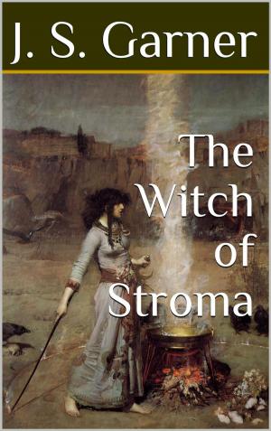 Cover of the book The Witch of Stroma by susan m. rostan