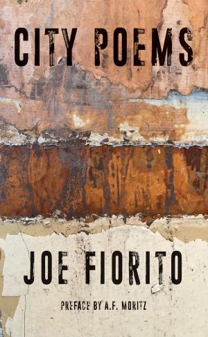 Cover of the book City Poems by Joe Rosenblatt