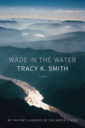 Cover of the book Wade in the Water by Nathacha Appanah
