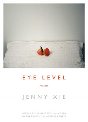 Cover of the book Eye Level by Sara Majka