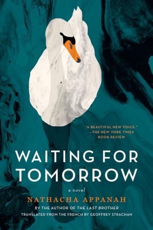 Cover of the book Waiting for Tomorrow by Tomas Transtromer