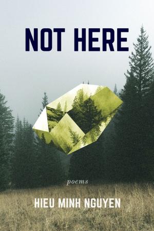 Cover of the book Not Here by Judith Kitchen