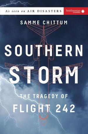 Cover of the book Southern Storm by Constance Bowman
