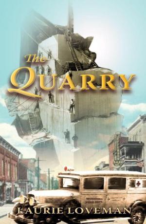 Book cover of The Quarry
