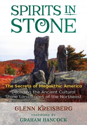 bigCover of the book Spirits in Stone by 