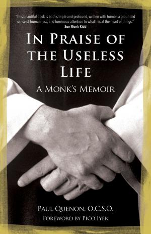 Cover of the book In Praise of the Useless Life by Christine Valters Paintner