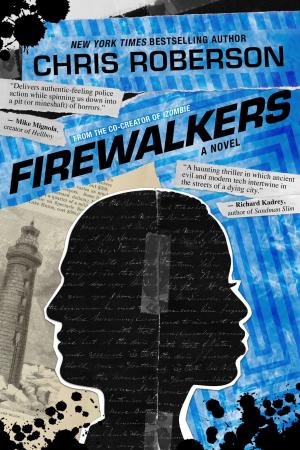 Cover of the book Firewalkers by Mary Martinez