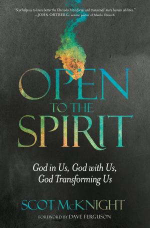 Cover of the book Open to the Spirit by Jan Johnson