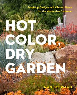 Cover of the book Hot Color, Dry Garden by Dave DeWitt, Janie Lamson