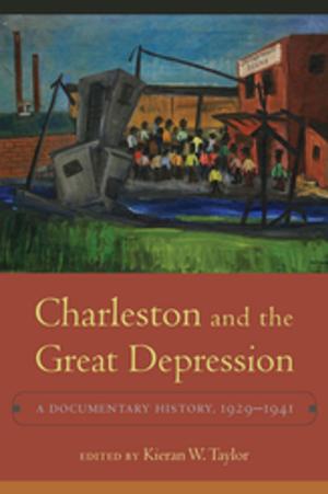 Cover of the book Charleston and the Great Depression by Elizabeth Cox