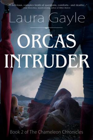 Book cover of Orcas Intruder