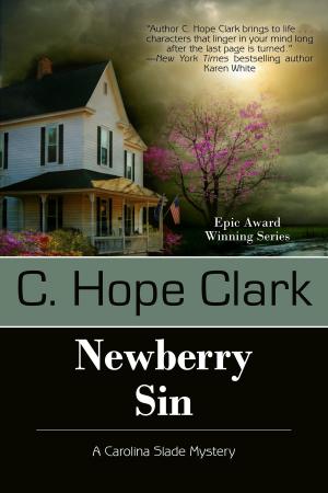 Cover of the book Newberry Sin by Maureen Hardegree