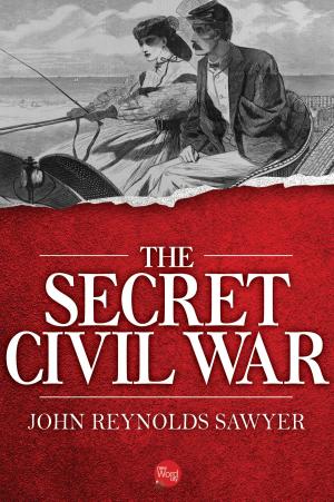 Book cover of The Secret Civil War