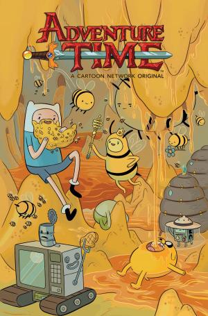 Book cover of Adventure Time Vol. 14