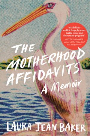 Cover of the book The Motherhood Affidavits by Claire Ptak