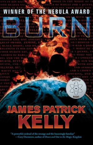 Cover of the book Burn by Eileen Gunn, Howard Waldrop